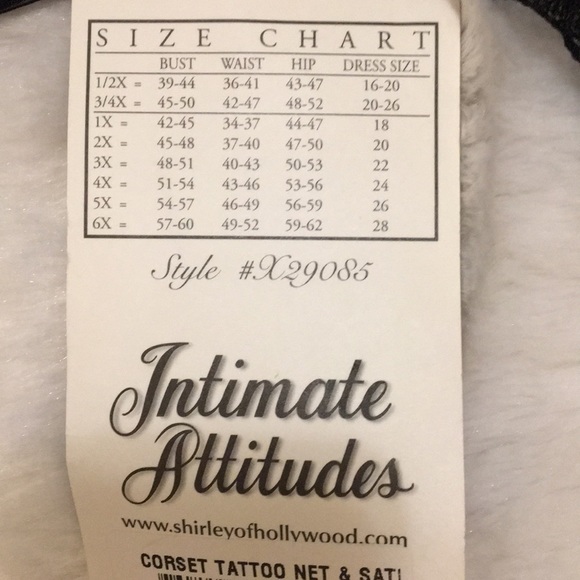 TATTOO ROSE EMBROIDERED CORSET - Picture 6 of 8